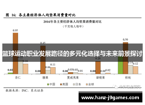篮球运动职业发展路径的多元化选择与未来前景探讨