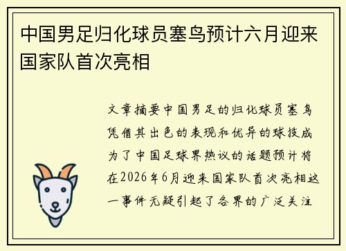 中国男足归化球员塞鸟预计六月迎来国家队首次亮相
